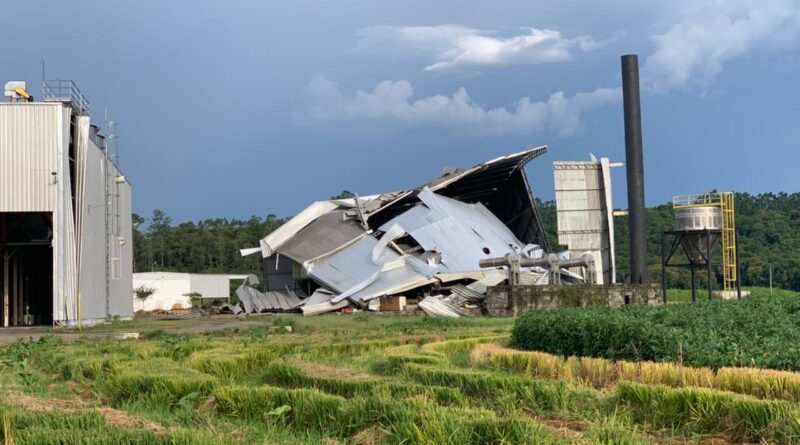 Armazem de beneficiamento de arroz foi destruído